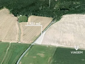 Prodej pole, Vysoká Libyně, 1923 m2