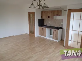 Pronájem bytu 2+kk, Mladá Boleslav, Václavkova, 44 m2