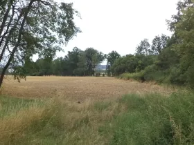 Dražba pozemku pro bydlení, Heřmanova Huť, 1100 m2