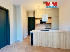Pronájem bytu 2+kk, Opava - Předměstí, Riegrova, 56 m2