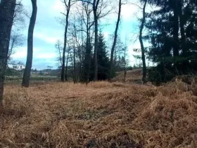 Prodej lesa, Pošná, 3636 m2