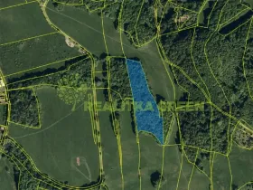 Prodej lesa, Rožnov pod Radhoštěm, Dolní Paseky, 13014 m2