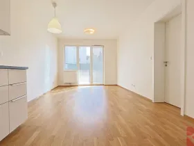Pronájem bytu 2+kk, Praha - Michle, Hadovitá, 53 m2