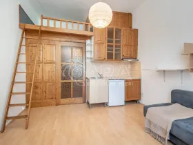 Pronájem bytu 1+kk, Praha - Michle, Magistrů, 22 m2