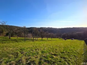 Prodej zahrady, Vyškov, 330 m2