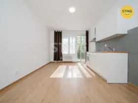Pronájem bytu 1+kk, Ostrava, Francouzská, 21 m2