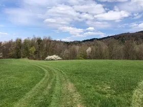 Prodej louky, Frýdlant nad Ostravicí, 44238 m2