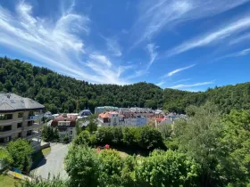 Prodej bytu 2+1, Karlovy Vary, Nebozízek, 62 m2