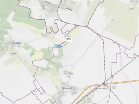 Dražba lesa, Jeviněves, 10319 m2