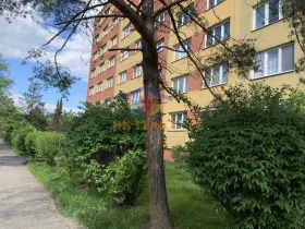 Pronájem bytu 1+1, Ostrava - Výškovice, Výškovická, 39 m2