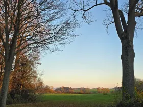 Prodej pozemku pro bydlení, Luková, 2325 m2