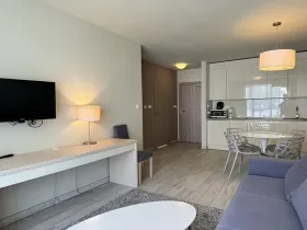 Prodej apartmánu, Dolní Morava, 41 m2