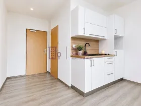 Pronájem bytu 1+kk, Jindřichův Hradec - Jindřichův Hradec III, sídliště Vajgar, 16 m2