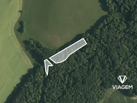 Prodej podílu lesa, Malhotice, 1965 m2