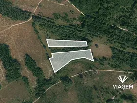 Prodej lesa, Dačice, 13651 m2