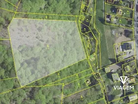 Prodej podílu lesa, Davle, 6247 m2