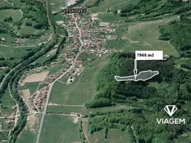 Prodej lesa, Leskovec, 7968 m2