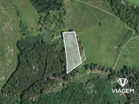 Prodej podílu lesa, Radošovice, 1094 m2