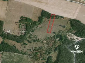 Prodej podílu lesa, Travčice, 1044 m2