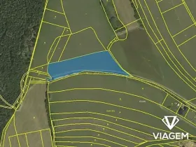 Prodej podílu pole, Velenov, 2564 m2