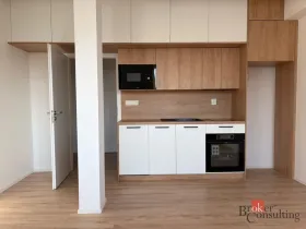 Pronájem bytu 1+kk, Opava - Kateřinky, Rolnická, 27 m2