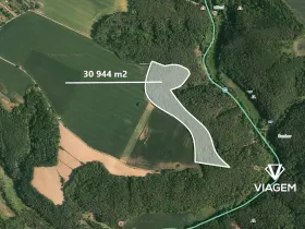 Prodej podílu lesa, Kokořín, 7736 m2