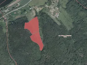 Prodej louky, Těchlovice, 42359 m2