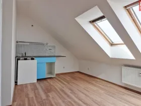 Pronájem bytu 1+kk, Olomouc, Zeyerova, 19 m2
