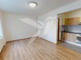 Pronájem bytu 1+kk, Zbůch, Průkopnická, 24 m2