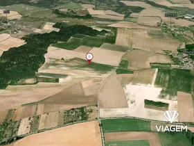 Prodej podílu pole, Zaloňov, 3977 m2