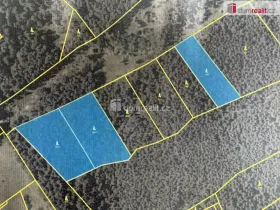 Prodej lesa, Nebahovy - Jelemek, 11340 m2