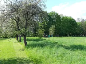 Prodej zahrady, Libina, 2827 m2