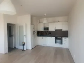 Pronájem bytu 1+kk, Plzeň - Jižní Předměstí, Inženýrská, 47 m2