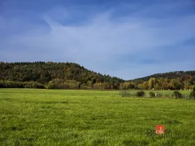Prodej pozemku pro bydlení, Křižany, 1506 m2