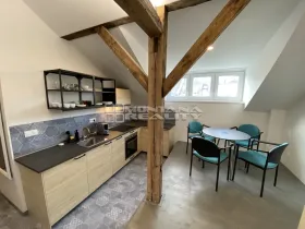 Pronájem bytu 1+kk, Olomouc, Praskova, 54 m2