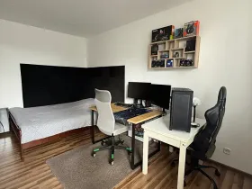 Pronájem bytu 1+1, Brtnice, Haberská, 32 m2