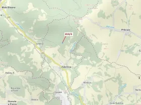 Dražba lesa, Zubrnice, 2875 m2