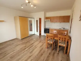 Pronájem bytu 1+kk, Beroun - Beroun-Město, Pod Homolkou, 33 m2