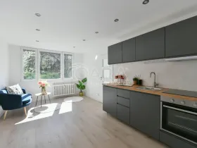 Prodej bytu 2+kk, Praha - Krč, Hurbanova, 39 m2