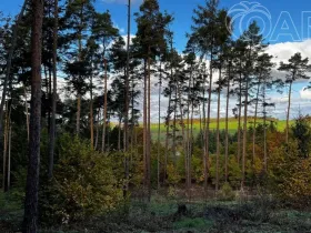 Prodej lesa, Štěchovice, 8586 m2