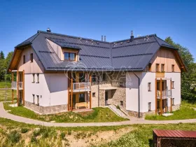 Prodej bytu 2+kk, Borová Lada, 71 m2