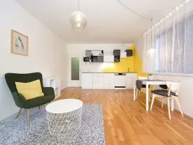 Pronájem bytu 1+kk, Praha - Smíchov, Plzeňská, 43 m2