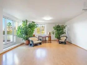 Prodej bytu 4+kk, Brno, Mojžíšova, 171 m2