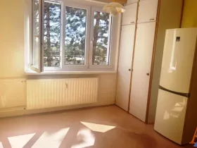 Pronájem bytu 1+1, Chomutov, Školní pěšina, 35 m2