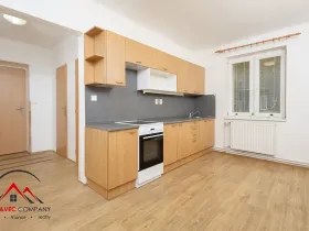 Pronájem bytu 1+1, Ostrava, Palackého, 41 m2