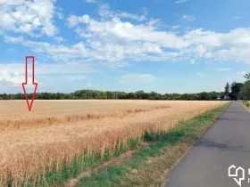 Prodej pole, Litovel, 4912 m2