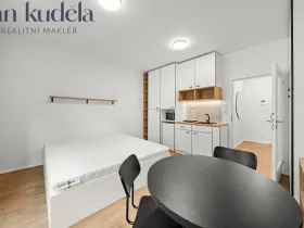 Pronájem bytu 1+kk, Brno, Cejl, 28 m2
