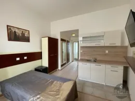 Pronájem bytu 1+kk, Praha - Žižkov, Prokopova, 16 m2