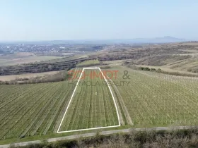 Prodej sadu/vinice, Němčičky, 11748 m2