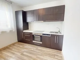 Pronájem bytu 1+1, Ostrava - Mariánské Hory, Korunní, 37 m2